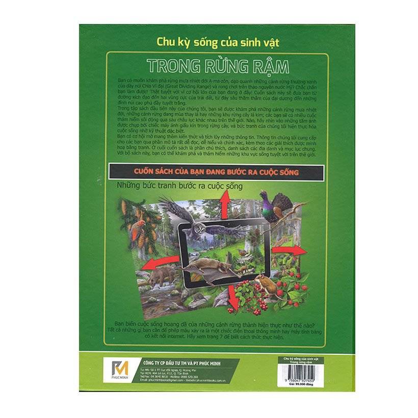 Sách - công nghệ 3D -Chu Kỳ Sống Của Sinh Vật Trong Rừng Rậm