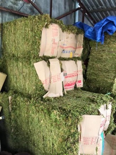 RÊU RỪNG 200g