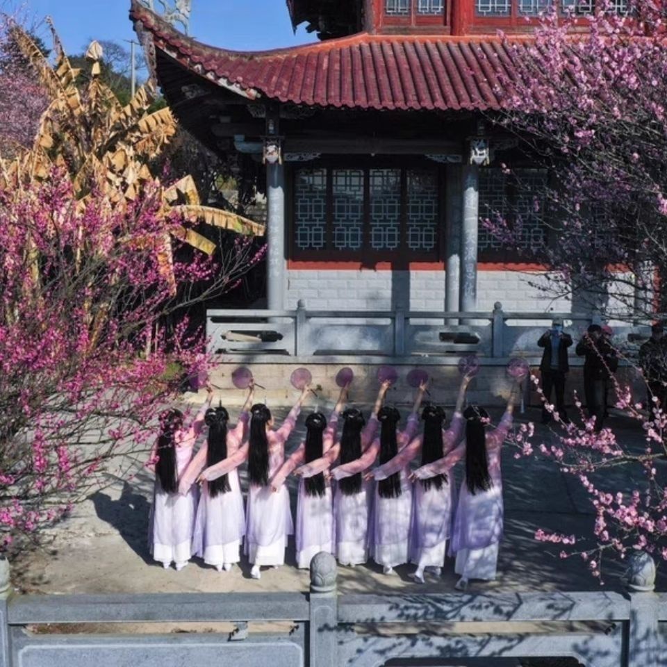 Trang Phục Biểu Diễn Múa Quạt Cổ Điển Thanh Lịch Cho Nữ