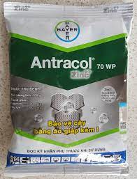 Thuốc trừ bệnh Antracol 70WP - Gói 100g