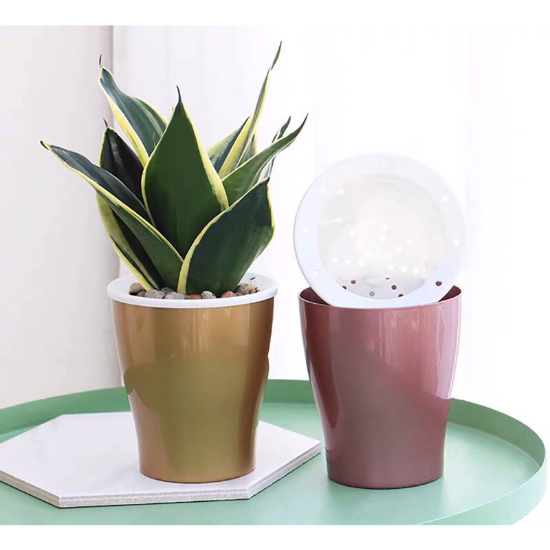 Chậu trồng cây thông minh tự tưới Oliz-W0 mẫu mới nhất