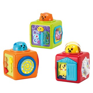 HỘP THÚ CƯNG VUI NHỘN WINFUN