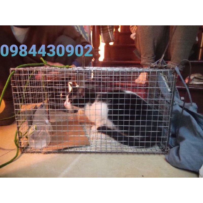 Lồng bẫy đa năng