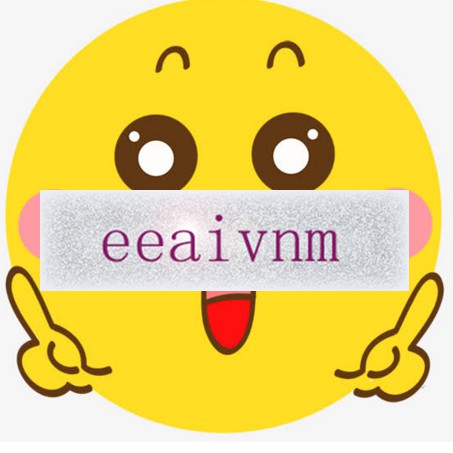 eeaivnm.vn