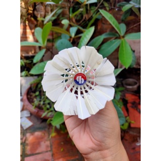 Cầu Lông đánh vợt 2 cái