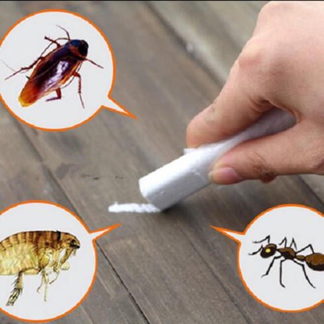 Combo 10hộp phấn diệt kiến, gián