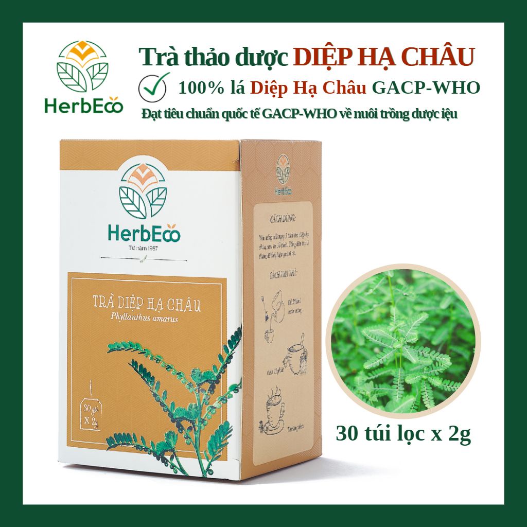 Trà Diệp Hạ Châu HERBECO.Trà thảo mộc cây chó đẻ giúp hạ men gan,mát