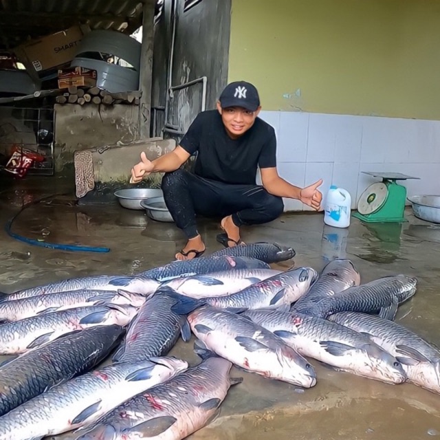 THÍNH CÂU CÁ LK HOÀ