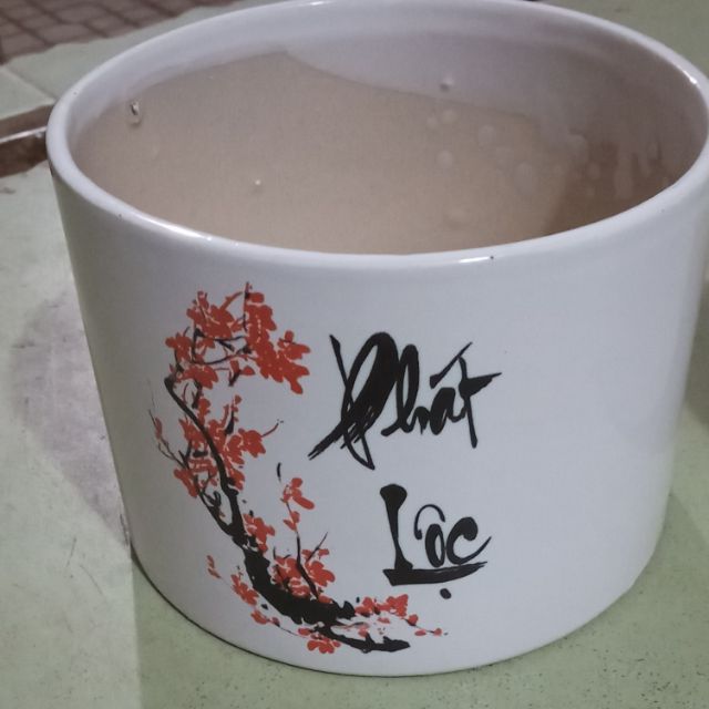 Chậu sứ trồng cây