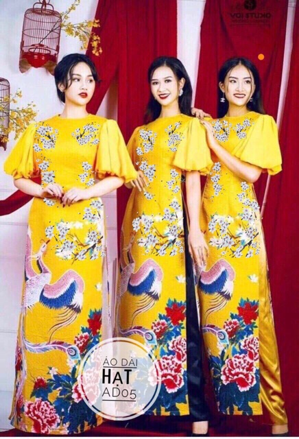 Bigsize Áo dài hạt AD05