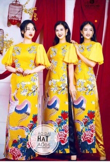 Bigsize Áo dài hạt AD05