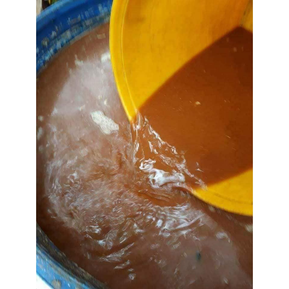 Phân bón lá  Đạm Tôm 1 lít Cung cấp Chitosan