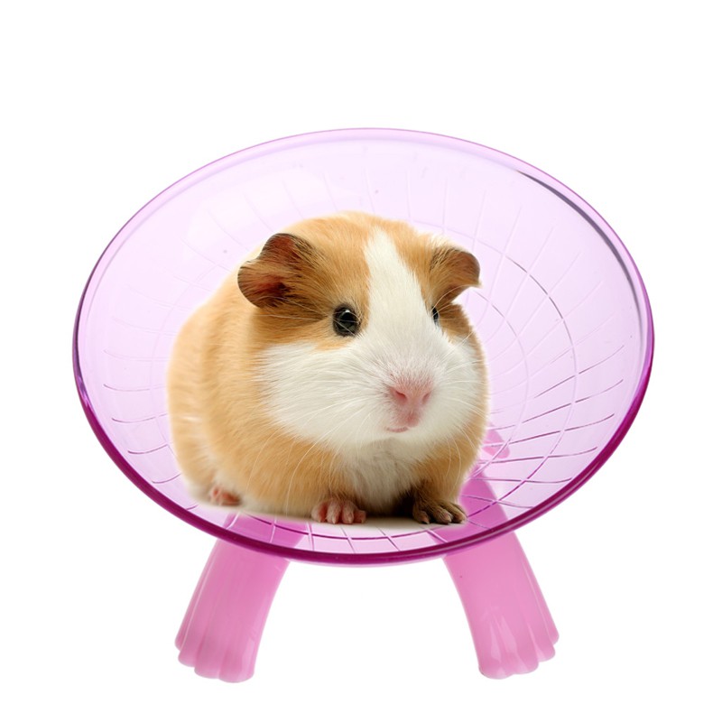 Đĩa Xoay Tập Chạy Cho Chuột Hamster