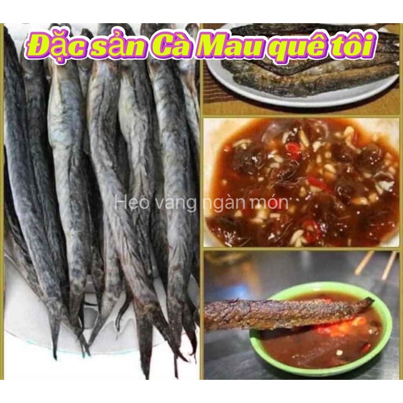ĐƠN TỪ 50K