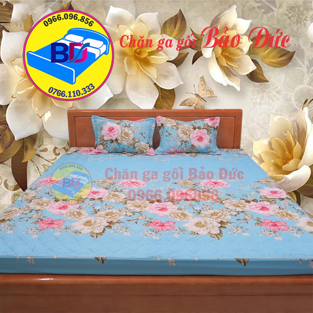 Ga giường trần bông, ga bo chun, đầy đủ kích thước, đa dạng mẫu mã