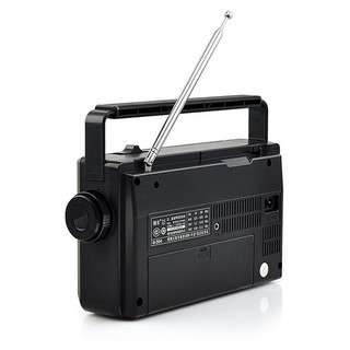 Đài Radio Tecsun R-304