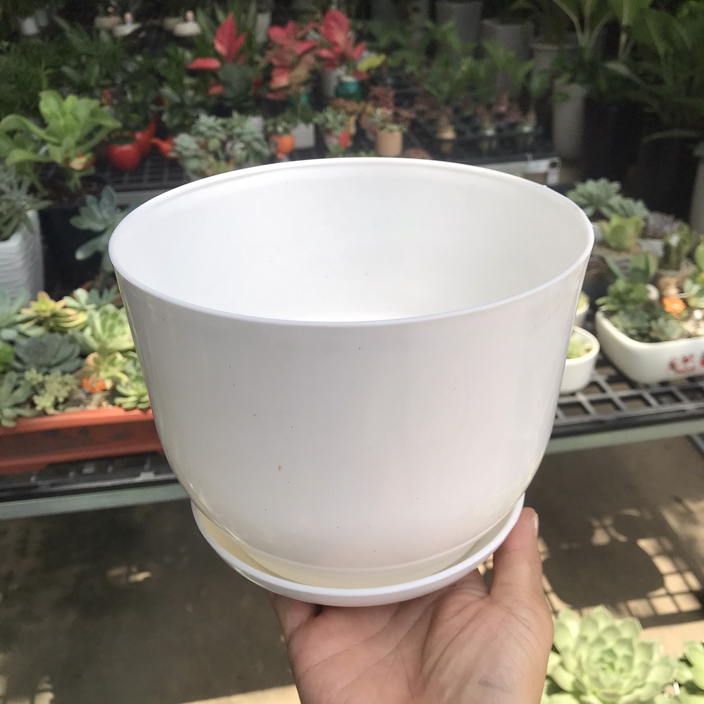 Chậu trồng cây giả sứ để bàn kèm đĩa lót, 2 kích thước hàng loại 1