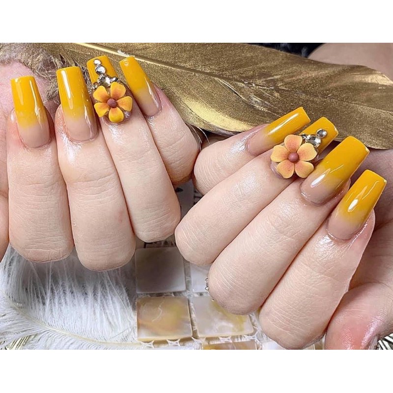 Hoa Bột Nail ( Hoa Sứ )