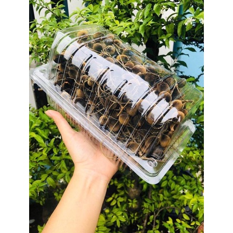 Trái say nhung, say trâu rừng, quả to, bột nhiều, không sâu không hư NHII FOOD đồ ăn vặt chua chua ngọt ngọt