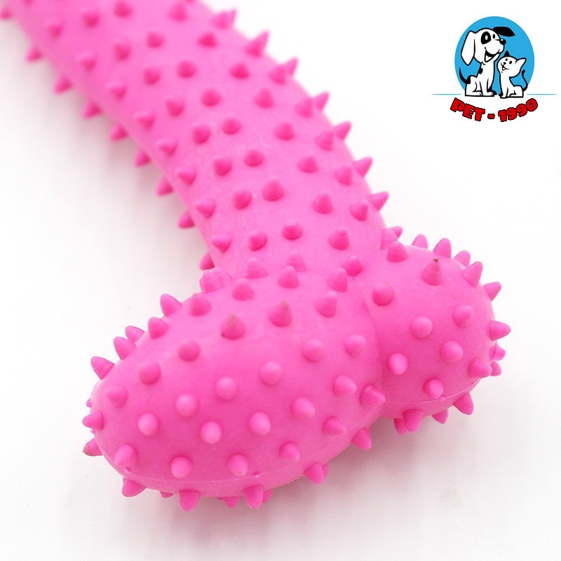 Đồ Chơi Xương Gặm Cao Su Có GAI Cho Chó Mèo Gặm Sạch Răng - Pet1990
