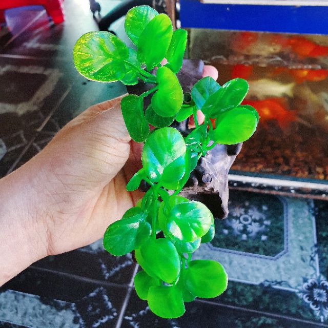 RONG GIẢ CÂY LỦA TRANG TRÍ HỒ CÁ NON BỘ 15cm