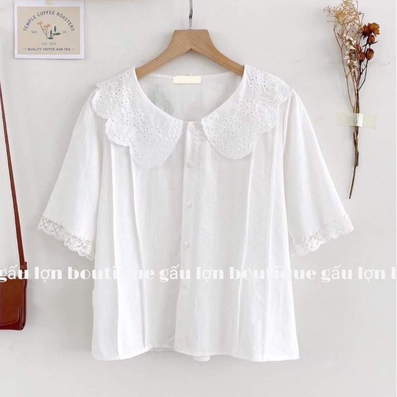 áo sơ mi cộc tay cổ ren tiểu thư ảnh thật