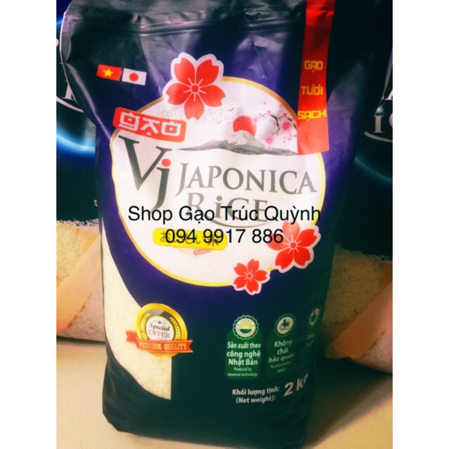 Gạo Vinaseed VJ Japonica