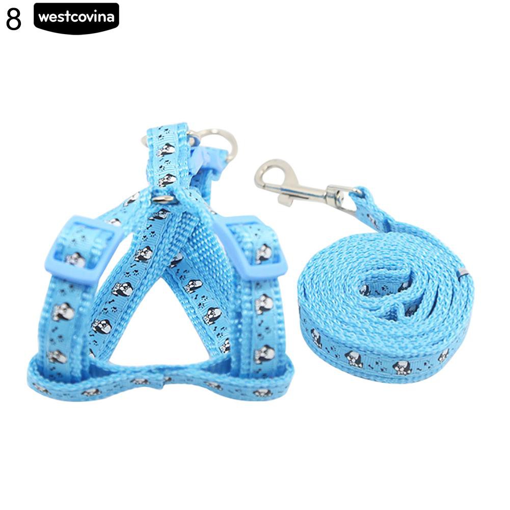 Dây Dắt Chó Đi Dạo Tiện Lợi Màu Sắc Sặc Sỡ