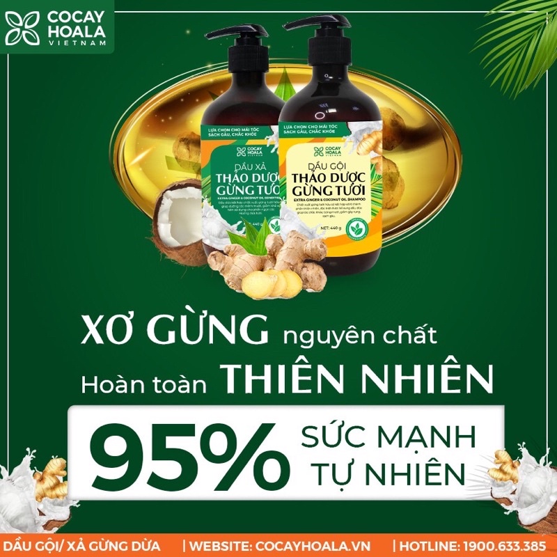 [Chính hãng 100%] Combo dầu gội và xả gừng dừa hữu cơ 880ml