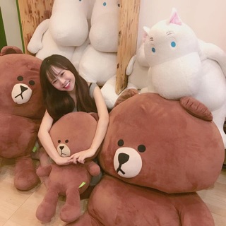 GẤU BÔNG CAO CẤP - GẤU BROWN