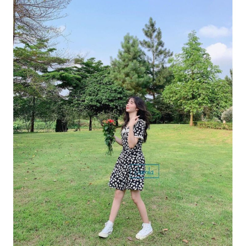 Đầm suông hoa cúc họa mi cổ viền bèo siêu xinh siêu hot