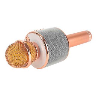 Micro Karaoke WS-858