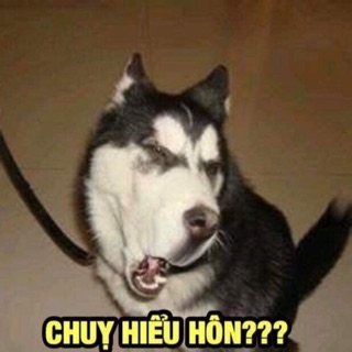 Combo của bích tuyền