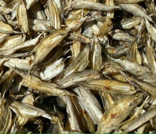 Khô cá chạch xẻ 500gram