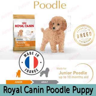 Hạt khô cho Chó Poodle con - Royal Canin Poodle Puppy