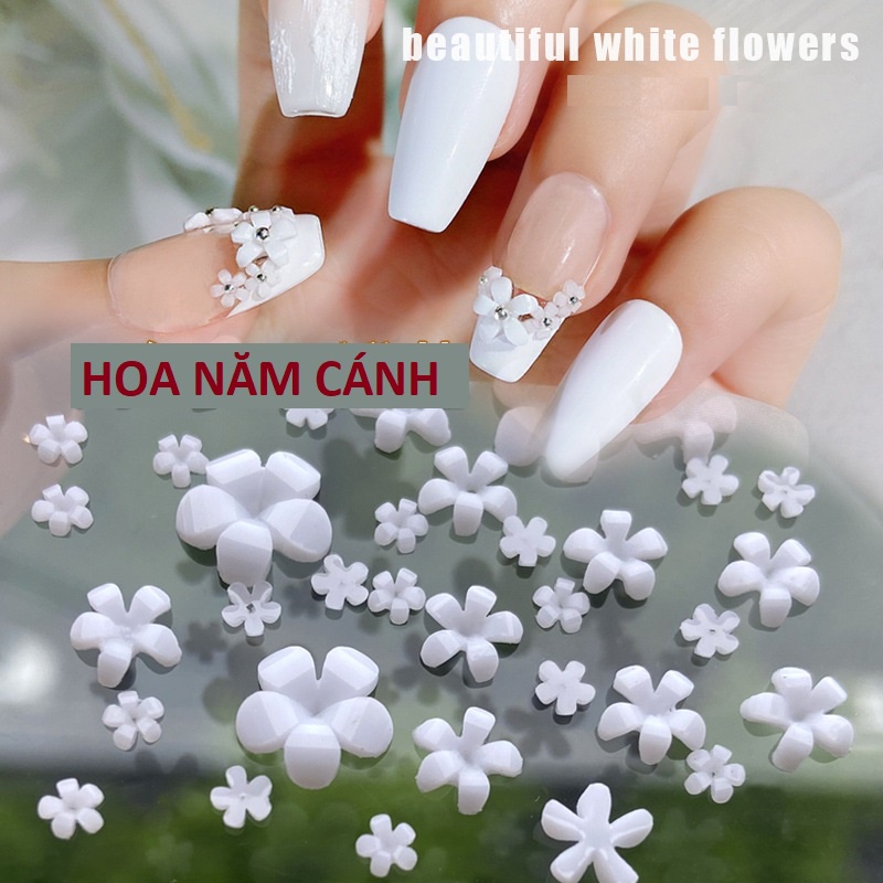 Hoa Nhí 5 Cánh Ba Chiều Trang Trí Móng | Hủ 100 hoa | Màu Trắng, Hồng, Đen