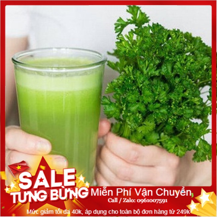 Hạt Giống Mùi Cồn Tía - 100 Hạt