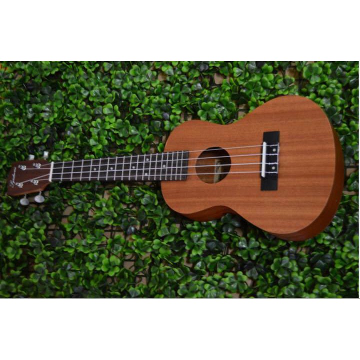 Đàn ukulele concert