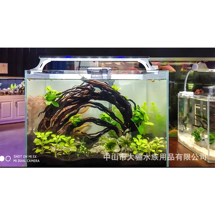 Đèn LED Trang Trí Bể Cá Có Giá Đỡ Tiện Lợi