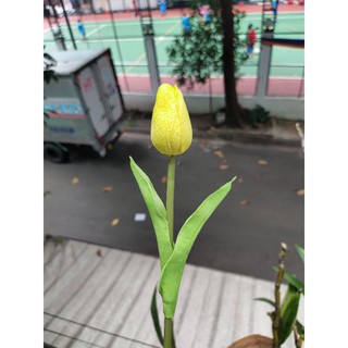 Hoa lá trang trí chụp hình