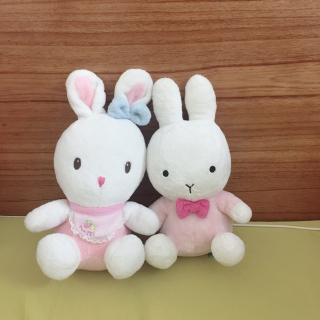 Set gấu c lê thoa