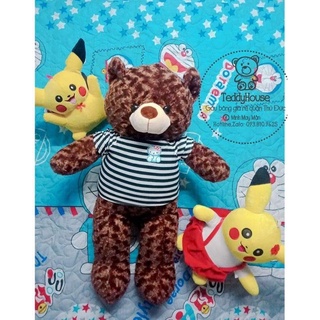 Gấu bông teddy khổ vải 1m