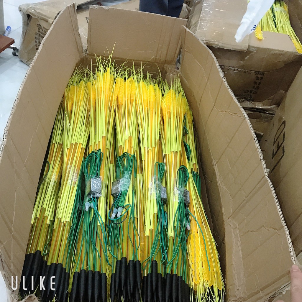 Kèm phích cắm Led Bông Lúa, Trang Trí Tết, Tài, Bàn Thờ Gia Tiên - Đại Diện Cho Sự Âm Lo,Đủ Đầy,Sung Túc Cả Năm 2022