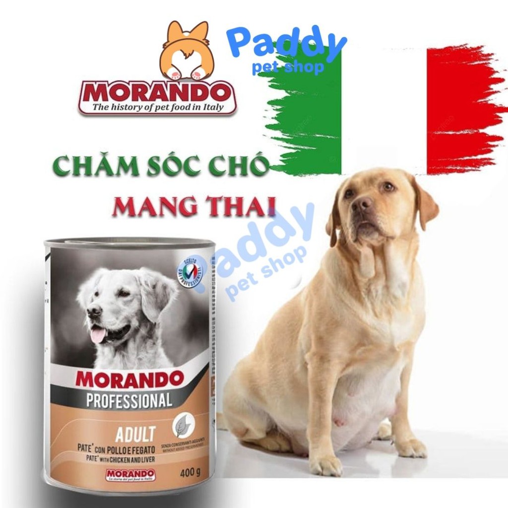 Pate Morando Miglior Cane Cho Chó Mọi Độ Tuổi (Lon 400g)