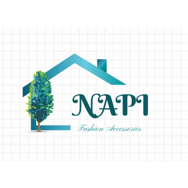NAPI 66 HOUSE