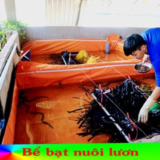 Bể bạt nuôi lươn ốc chạch loại 2 da nhiều kích thước