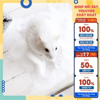 Cát trắng tắm thơm, cát khử mùi, mượt lông cho Hamster