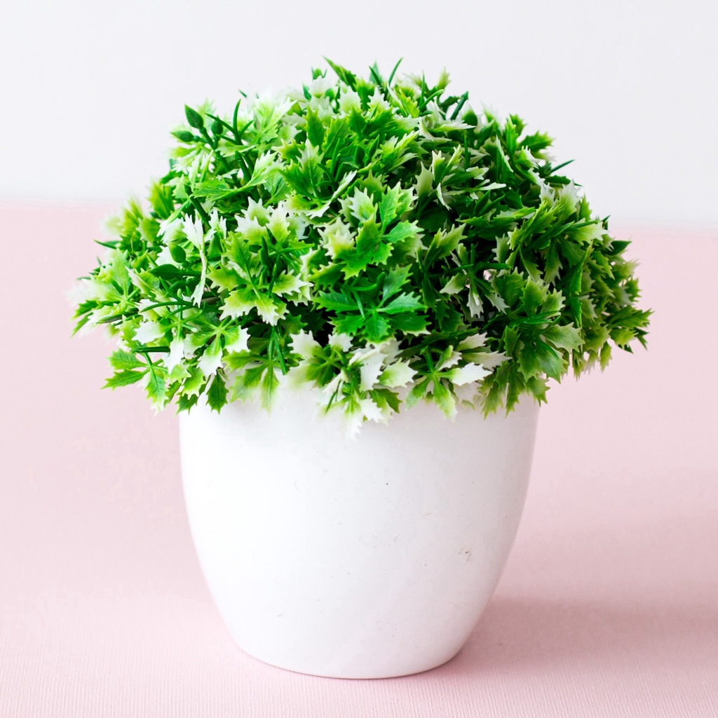 Chậu cây cảnh giả thiết kế sáng tạo trang trí nhà cửa