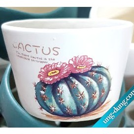 Chậu cốc lùn in hình |FREESHIP  SIÊU XINH | LỖI 1 ĐỔI 1