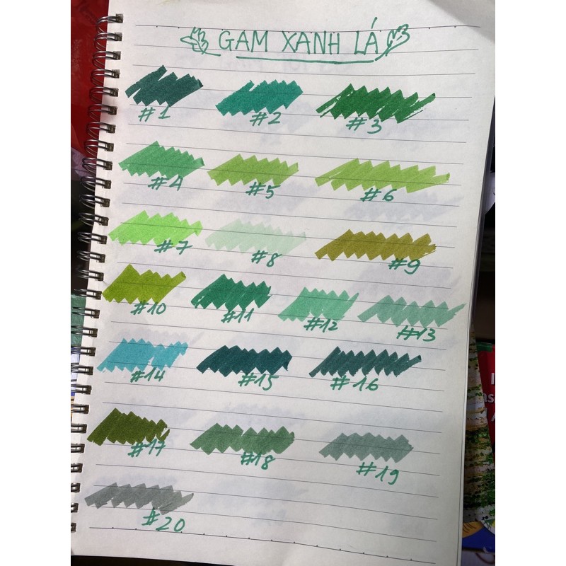 Supertips lẻ nét thanh nét đậm gam xanh lá